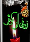 فروغى از كوثر