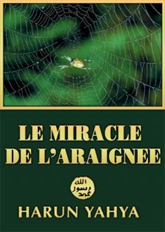 LE MIRACLE DE L'ARAIGNEE