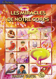 LES MIRACLES DE NOTRE CORPS
