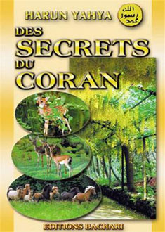 DES SECRETS DU CORAN