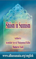 Shiism in Sunnism