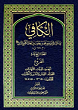 الكافي- الجزء 14