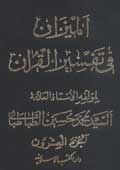 الميزان في تفسير القرآن- الجزء 20